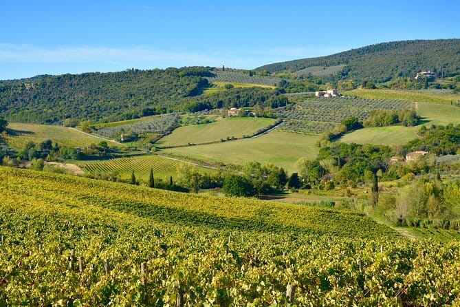 Private Tour: Chianti Region Tour by Minivan - Why a private Chianti drive works so well