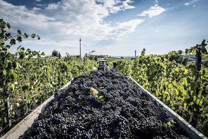 Private Tour: Chianti Winery, Montefioralle, and Greve in Chianti - Leaving Florence for the Chianti hills