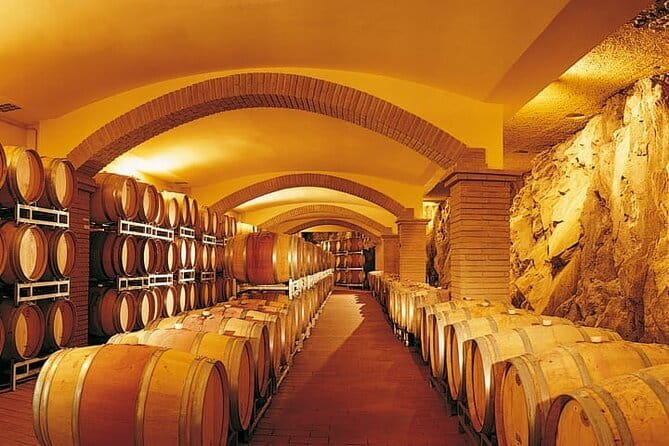 Private Tour: Chianti Winery, Montefioralle, and Greve in Chianti - The winery visit and Sangiovese tasting