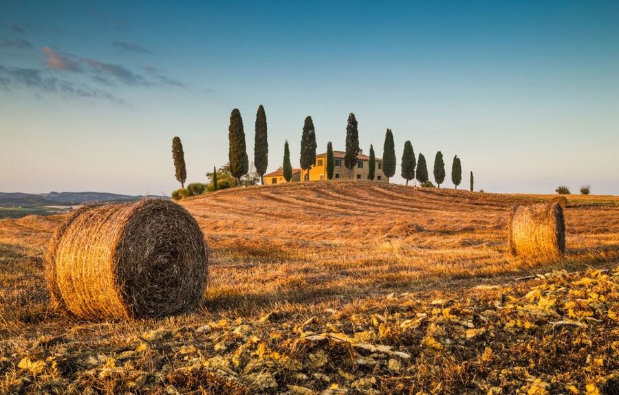 Private Tour From Florence to Cortona and Montepulciano - A Full Tuscan Day From Florence