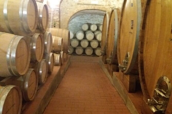 Private Tour in San Gimignano and Chianti Day Trip from Florence - Lunch and Wine at Poggio Amorelli