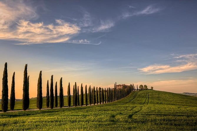 Private Tour: Medieval Val d'Orcia by Minivan from Florence - Key points at a glance