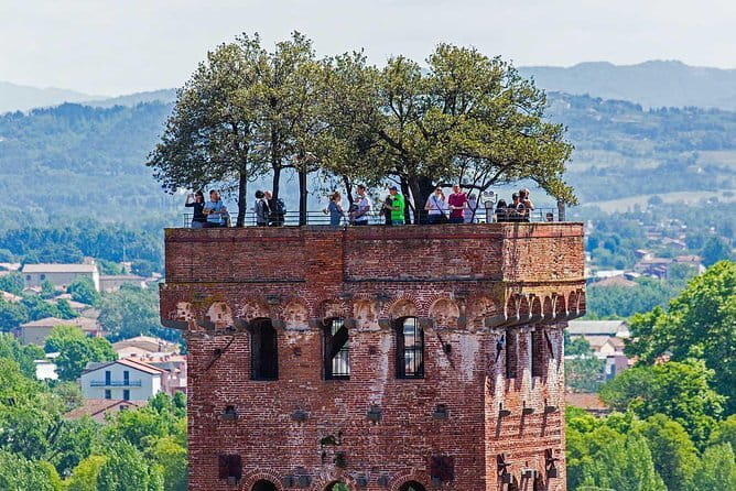 Private Tour: Pisa and Lucca from Florence - Key points to know before booking