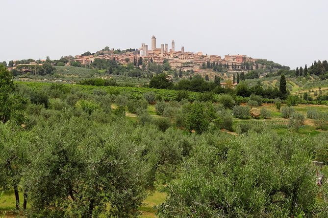 Private Tour to Siena and San Gimignano with Wine Tasting & Lunch - A private route through Siena, San Gimignano, and the wine country