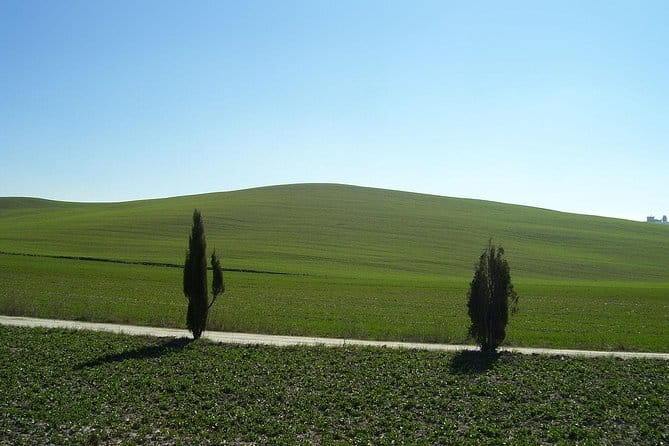 Private Tour to Siena and San Gimignano with Wine Tasting & Lunch - Starting from Florence or Livorno
