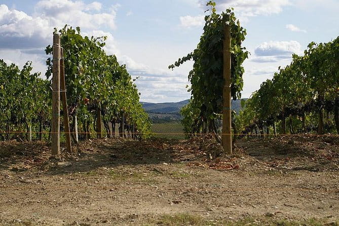 Private Tour to Siena and San Gimignano with Wine Tasting & Lunch - Siena and the one-hour Piazza del Campo visit