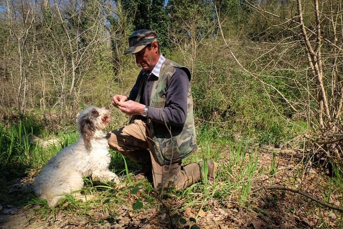 Private Truffle Hunting in Chianti - A five-hour taste of Chianti beyond the tasting room
