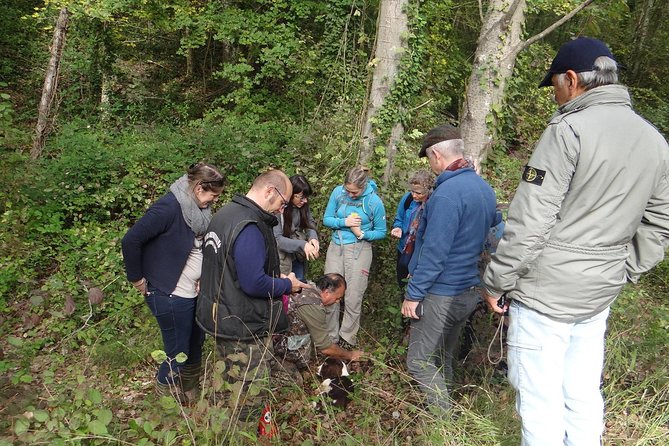 Private Truffle Hunting in Chianti - What the truffle hunt can and cannot promise
