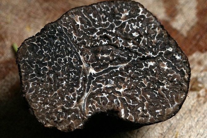 Private Truffle Hunting in Chianti - A three-course lunch built around truffles