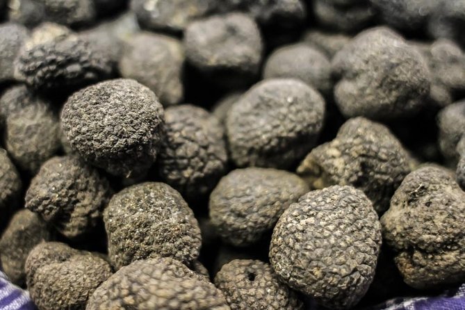 Private Truffle Hunting in Chianti - Wine, olive oil, and the working side of Tuscan food