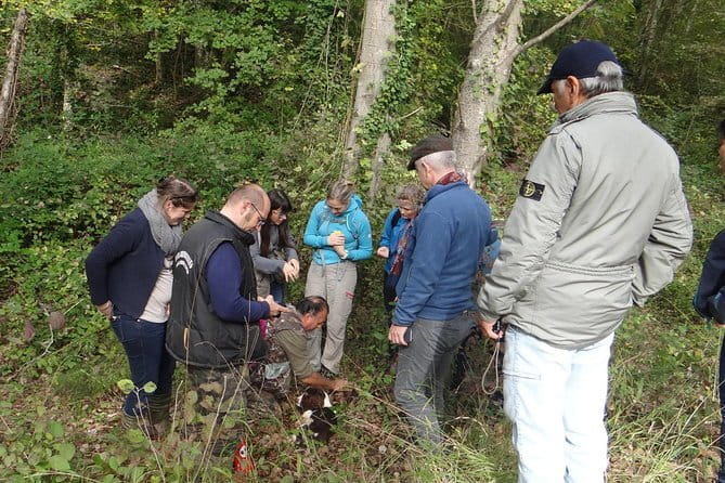 Private Truffle Hunting in Chianti from Florence - The private format and the role of the guide