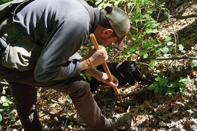 Private Truffle Hunting in Chianti - Meeting the hunter and his dogs