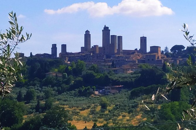 Private Tuscan Cooking Class And Wine Tasting in Radda in Chianti - Practical planning for your morning
