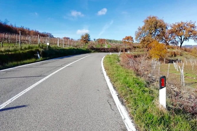 Private Tuscany Cycling Tour from Florence - From Florence to the Tuscan hills by bike