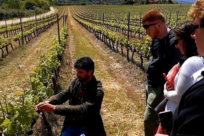Private Wine Safari! Off-Road, Lunch in Winery in Tuscany! - How the five-hour schedule feels