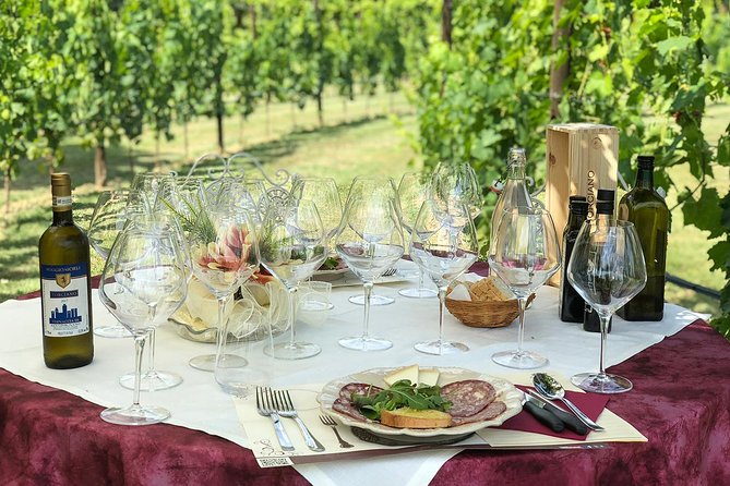 Romantic Lunch in the Vine Rows in Tuscany - Choosing noon, 2pm, or 4pm