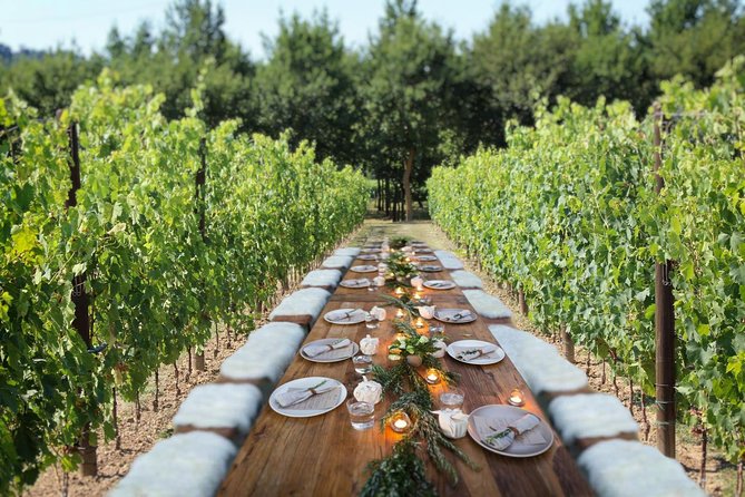 Romantic Lunch in the Vine Rows in Tuscany - Getting there and fitting it into your day