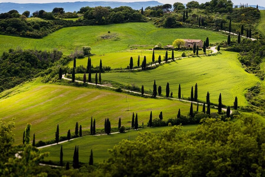 ROMANTIC WINE TOUR FOR 2 - Wine Tour in Chianti (Tuscany) - The second winery and the old cellar