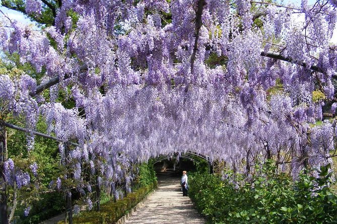 Royal Paths of Florence: Explore the Boboli Gardens - Giardino del Cavaliere, Kaffeehaus, and Buontalenti Grotto