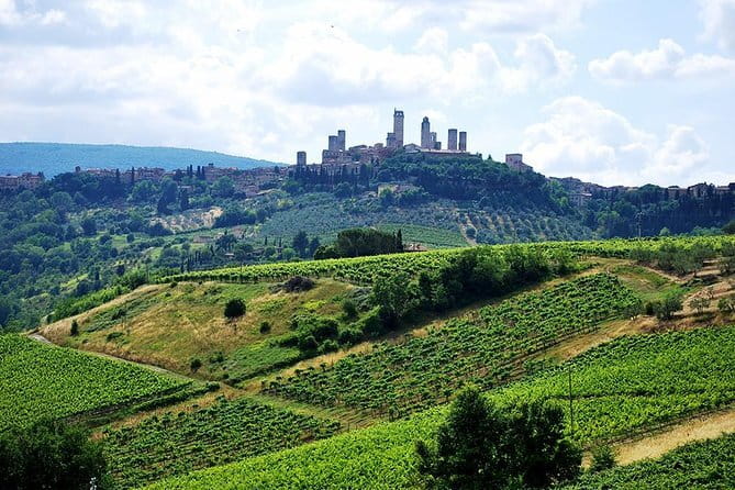 San Gimignano and Chianti Classico Wine and Food PRIVATE TOUR from Florence - Key points to know before booking
