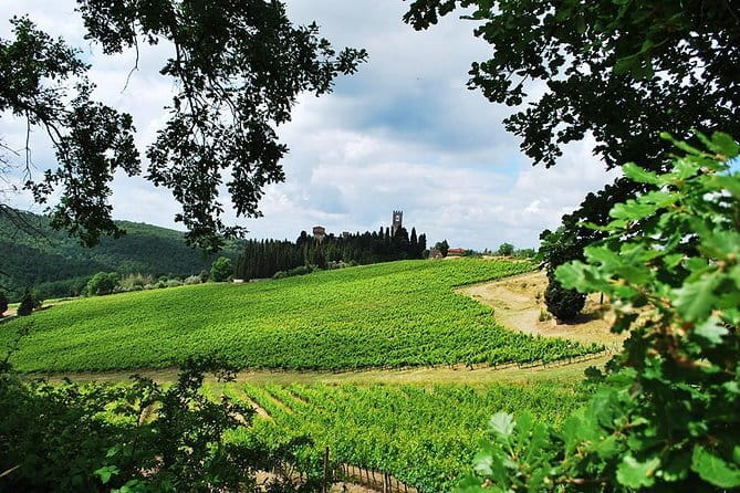 San Gimignano and Chianti Classico Wine and Food PRIVATE TOUR from Florence - Wine, olive oil, Vin Santo, and Grappa