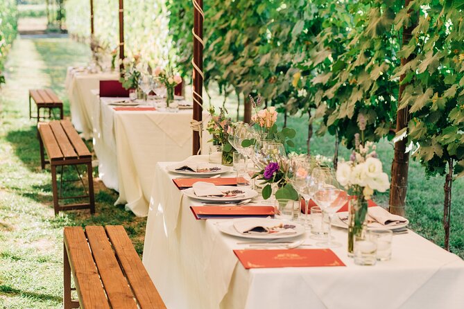 San Gimignano Romantic Dinner in the Vineyards - Olive oil, balsamic, and the products beyond the bottle