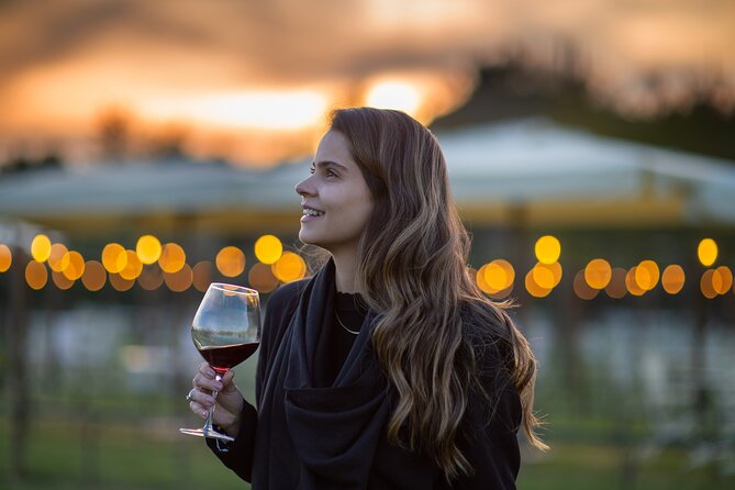 San Gimignano Romantic Dinner in the Vineyards - Is $150.60 a fair price?