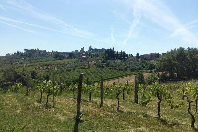 San Gimignano, Saffron and Vernaccia Wine from Florence - Key points at a glance