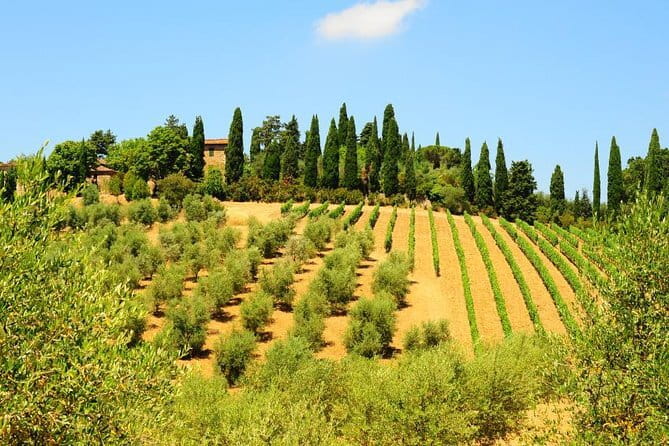 San Gimignano, Siena, Monteriggioni: Fully Escorted Tour, Lunch & Wine Tasting - A long Tuscan day from Florence