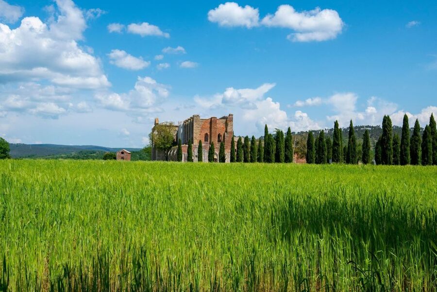San Gimignano, Volterra, St Galgano Abbey small group tour - San Gimignano, the medieval skyline