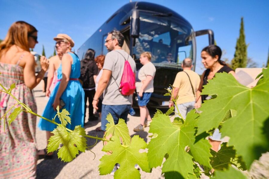 San Gimignano, Volterra, St Galgano Abbey small group tour - Eating on a day with three stops