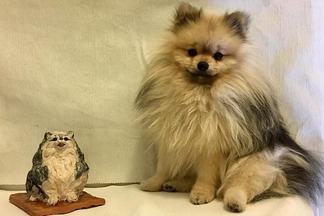 Sculpt to Florentine Pet - What You Actually Do in Two Hours
