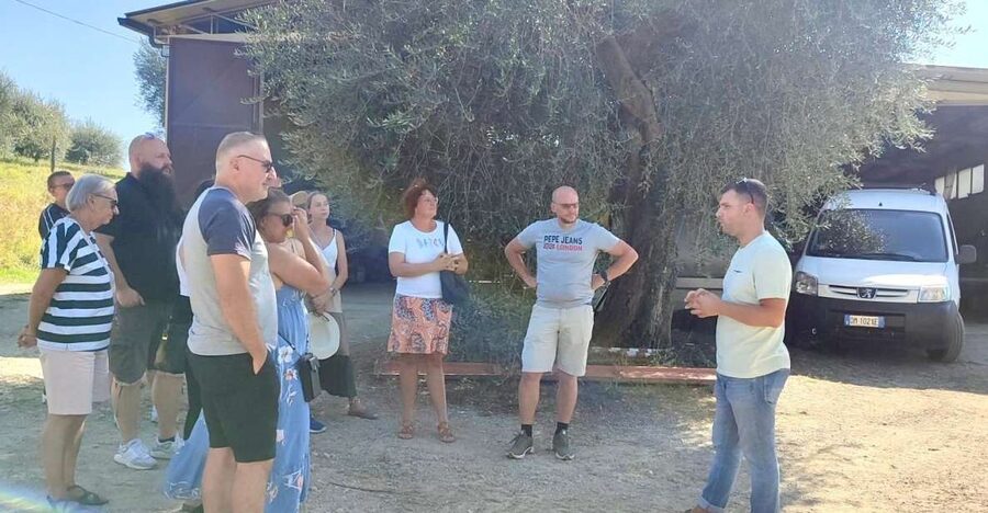Seggiano: Typical Tuscan Farm Tour with Olive Oil Tasting - Key points to know before you book