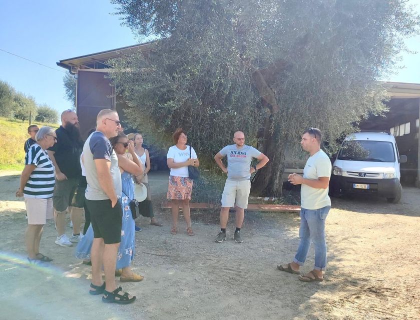 Seggiano: Typical Tuscan Farm Tour with Olive Oil Tasting - Is the Olio Abbraccio tour worth booking?
