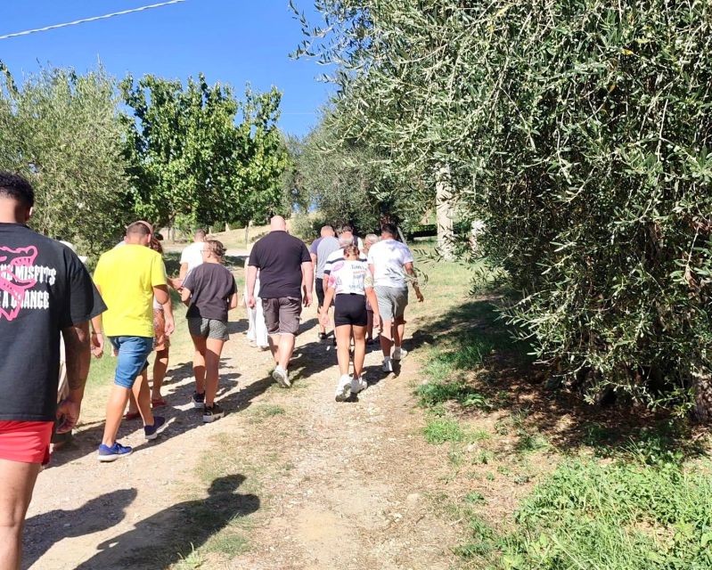 Seggiano: Typical Tuscan Farm Tour with Olive Oil Tasting - The cellar and the part many people remember