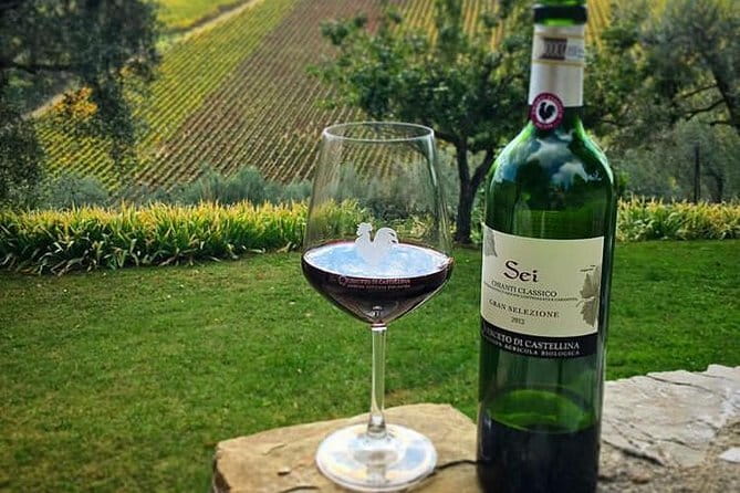 Siena and Chianti Wineries Excursion by Private Luxury Van from Florence - From Florence to Siena in a private van