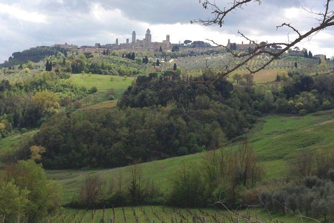 Siena and San Gimignano, The Glory Of Medieval Age In Tuscany - Why a private vehicle matters here