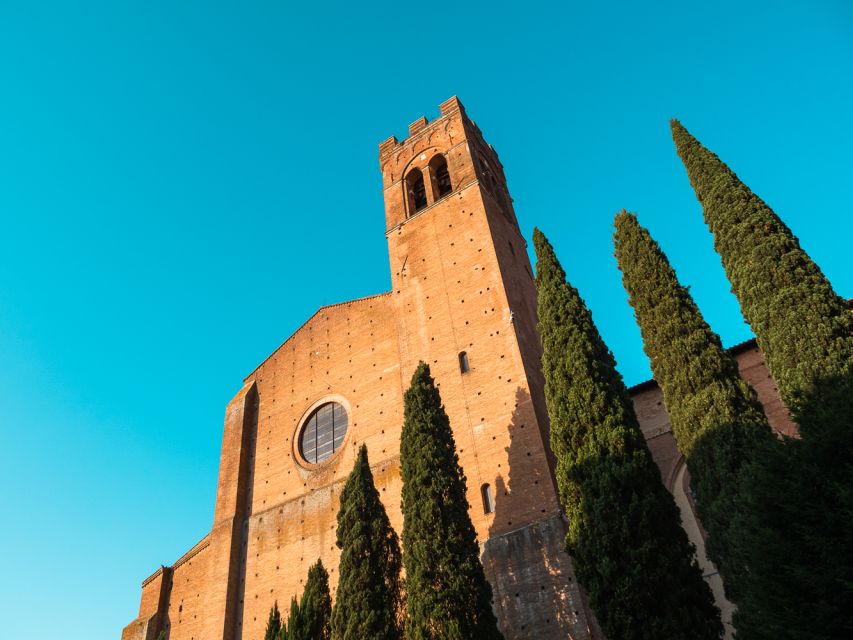 Siena Half-Day Tour from Florence - Food, wine, and free time