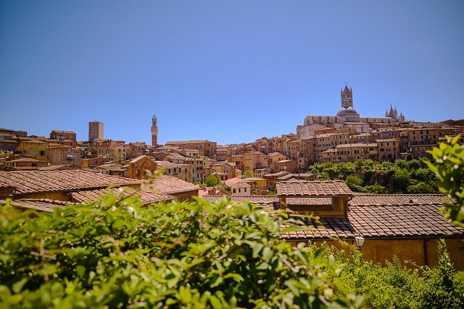 Siena, San Gimignano and Chianti Wines Day Tour from Florence - One day, four classic pieces of Tuscany