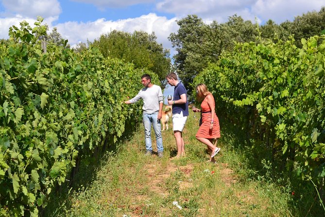 Small-Group Brunello Wine Tour of Montalcino from Florence - Why the small group matters
