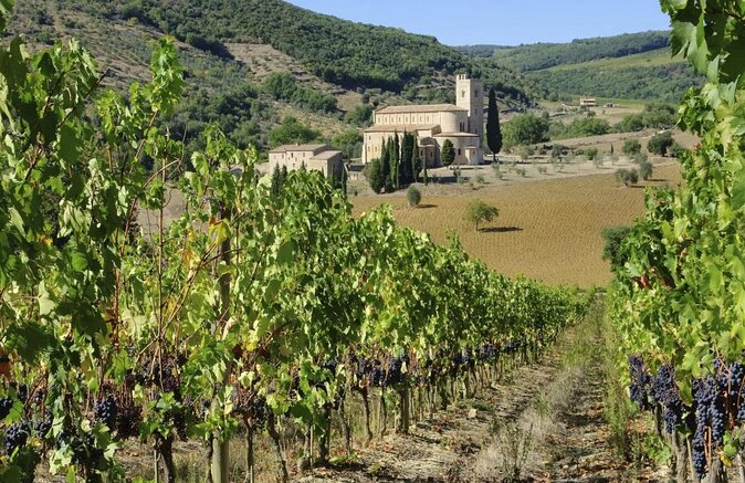 Small-Group Brunello Wine Tour of Montalcino from Florence - The guides are part of the value