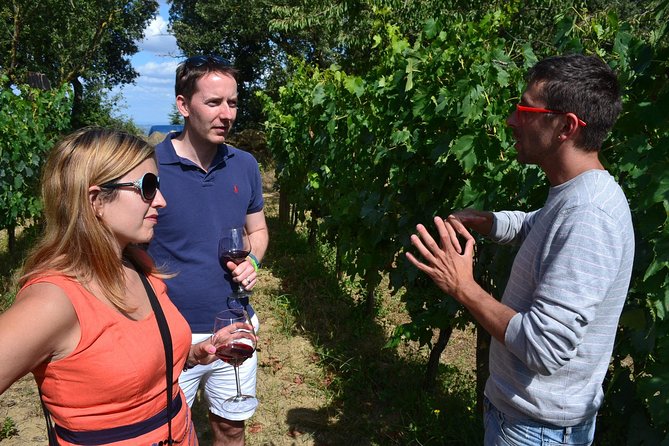 Small-Group Brunello Wine Tour of Montalcino from Florence - Is $433.48 a fair price?