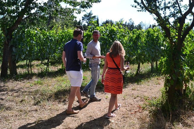 Small-Group Brunello Wine Tour of Montalcino from Florence - Who should book this Brunello day?