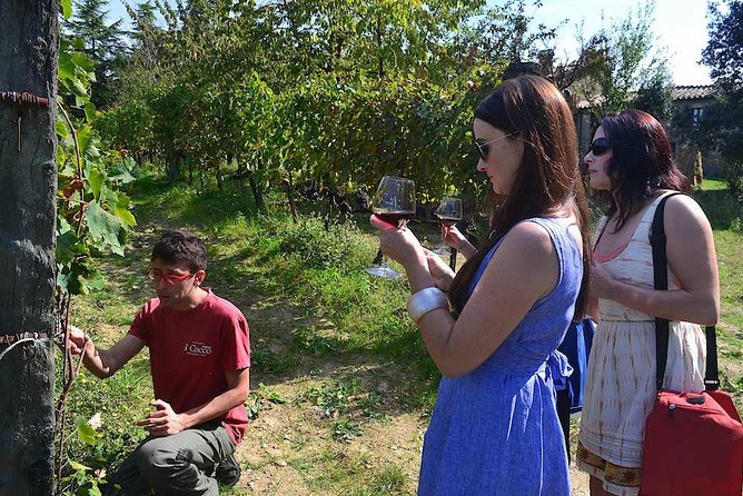 Small-Group Brunello Wine Tour of Montalcino from Florence - The first winery: cellar work and classic Brunello tasting
