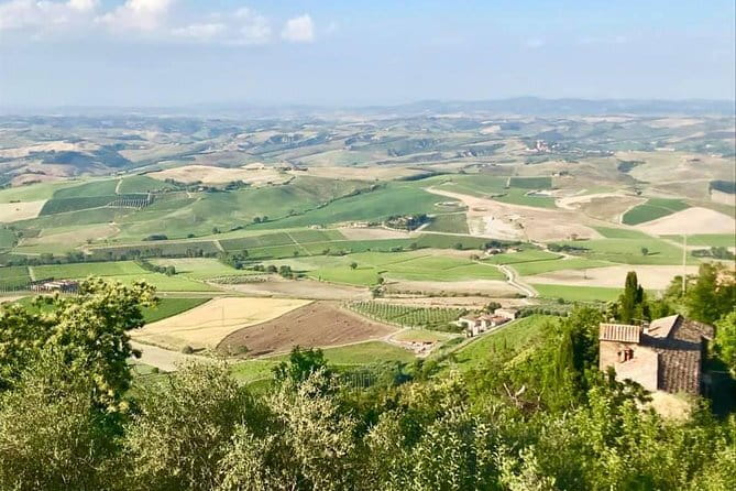 Small group Chianti-side wine tour with Mercedes V class Van - From Florence to the Chianti hills
