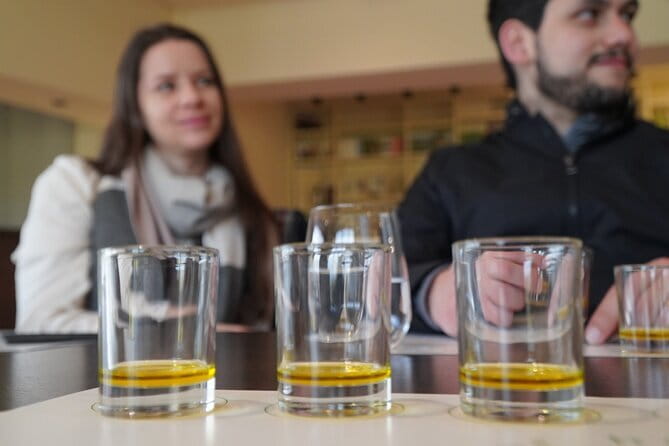 SMALL GROUP Chianti Tradition wine tour (max 8 pp) - Learning to judge olive oil at the grove