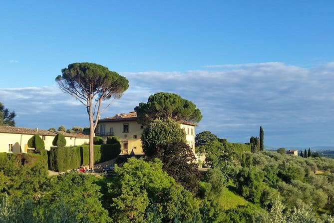 Small Group Wine Tasting in Tuscany with Vineyard Visit - What the five-hour schedule really means