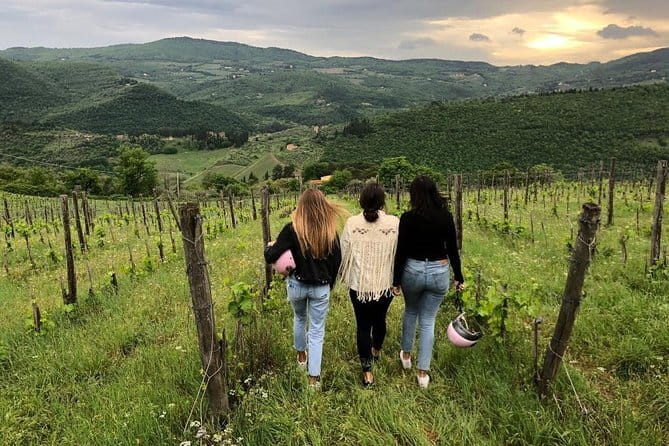 Small Group Wine Tasting in Tuscany with Vineyard Visit - Tasting several estate wines in the cellar