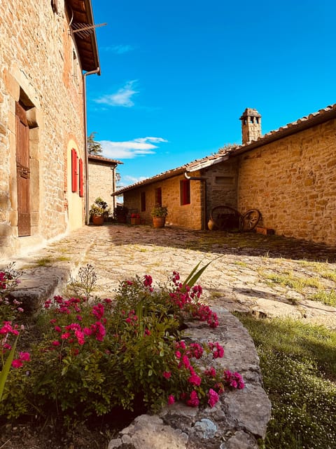 Spend a day in a resort in the Tuscan countryside - Who will enjoy this most