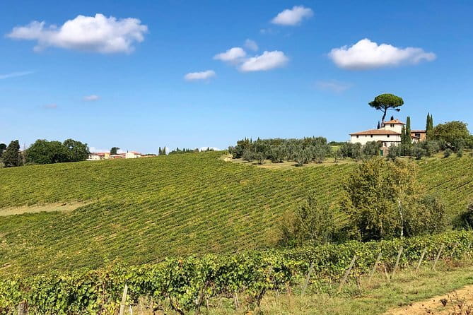 Sunset VIP Chianti wine tour - An hour in Castellina in Chianti
